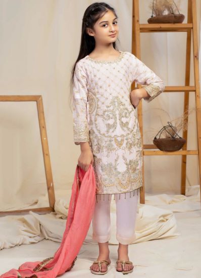 Light Pink Embroidered Straight Cut Suit Set