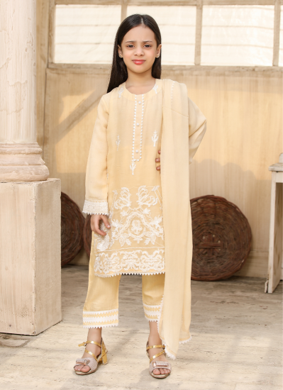Kids Beige Chiffon Embroidered Suit