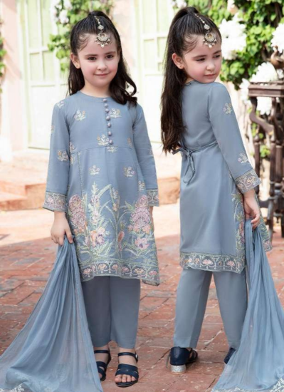 Buy Kids Blue Lawn Embroidered Suit Set