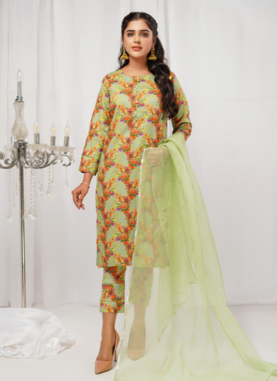 Beige Lawn Digital Shift Organza Dupatta Suit Set