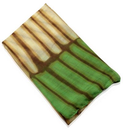 Green Striped Ombre Scarf