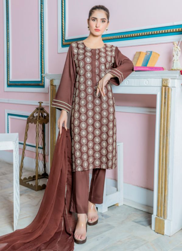 Brown Linen Embroidered Ladies Suit